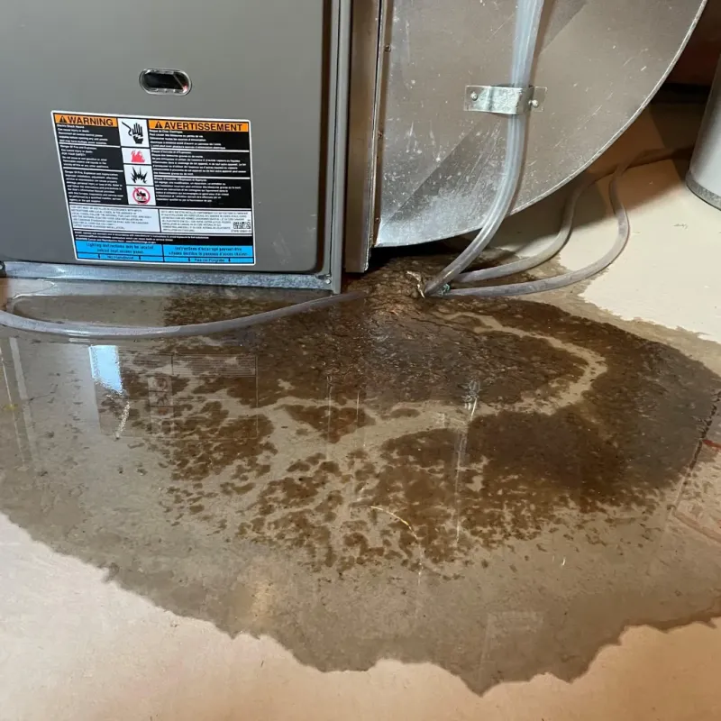 Appliance Leak Cleanup in Worthington Hills, KY