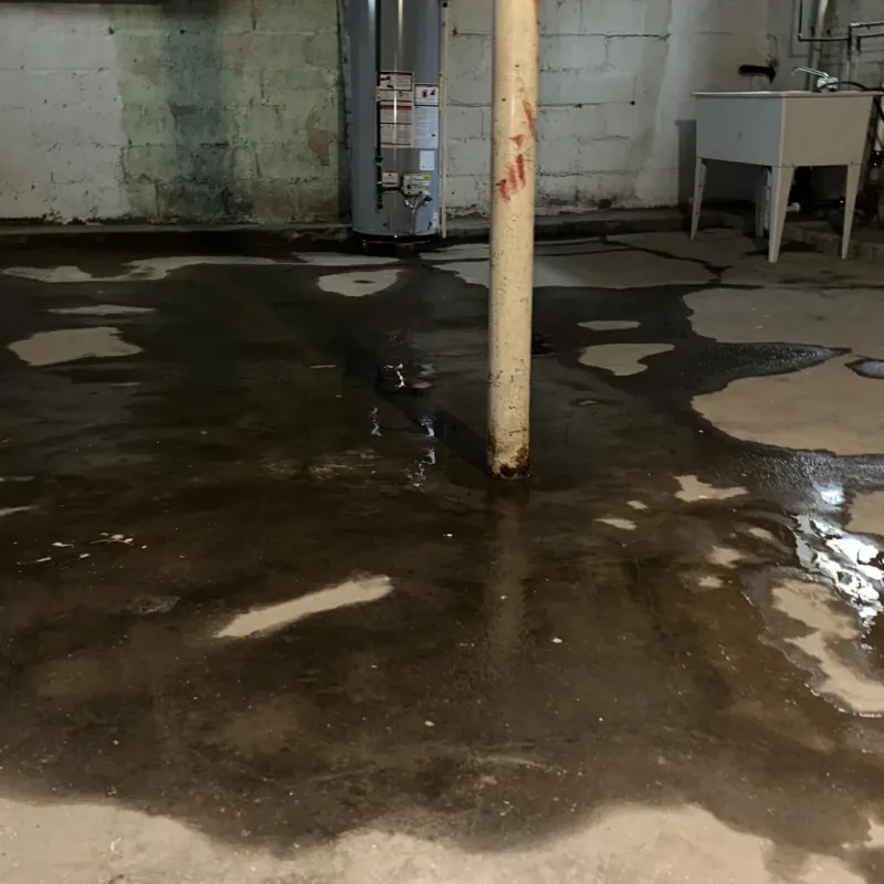 Emergency Water Extraction And Removal in Worthington Hills, KY